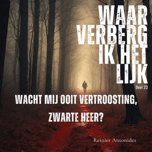 Wacht mij ooit vertroosting zwarte heer?