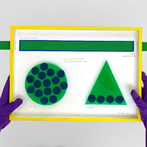 Springvossen 578 Cindy Moorman