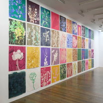 Springvossen 579 Piet Dieleman