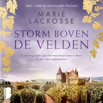 Storm boven de velden