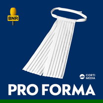 Pro Forma - Hoger beroep in de zaak Ali B.