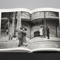 Springvossen 582 Willem van Zoetendaal