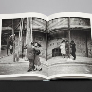 Springvossen 582 Willem van Zoetendaal