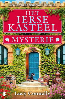 Het Ierse kasteelmysterie