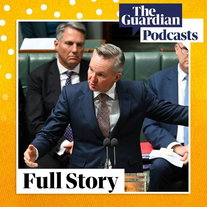 Energy minister Chris Bowen on the impact of the fuel crisis