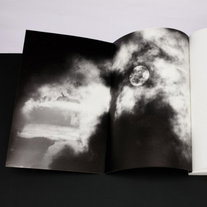 Springvossen 584 Willem van Zoetendaal   (vervolg )