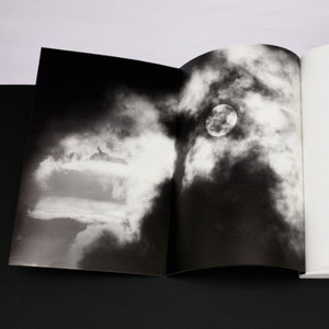 Springvossen 584 Willem van Zoetendaal (vervolg )