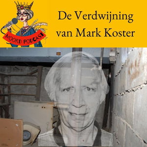 De Verdwijning van Mark Koster