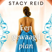 Een gewaagd plan