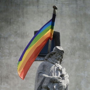 Conversiepraktijken - een wet op 'homogenezing'