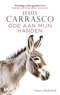 Ode aan mijn handen