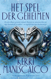 Het spel der geheimen