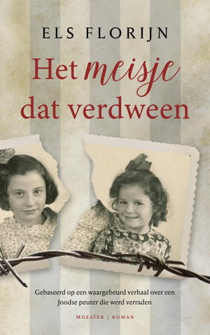 Het meisje dat verdween