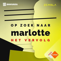 Op zoek naar Marlotte: het vervolg  (8) - Fakers op de chat