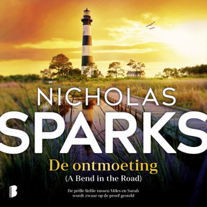 De ontmoeting
