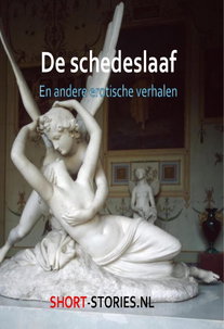 De scheldeslaaf
