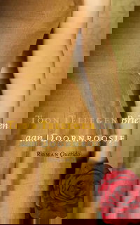 Brieven aan Doornroosje