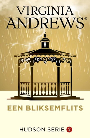 Een bliksemflits