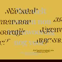 12/15 Charlie hoofdstuk 12 – Wat stelt zoenen nou tegenwoordig nog voor?