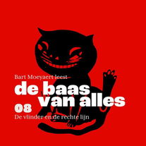 De baas van alles | 08/14 | De vlinder en de rechte lijn