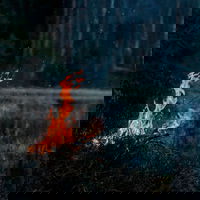 Een daad van bevestiging | #3.89