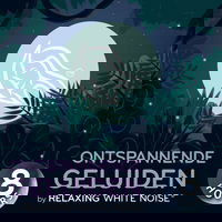 Ontspannende Geluiden I by Relaxing White Noise