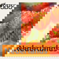 SBS Dutch