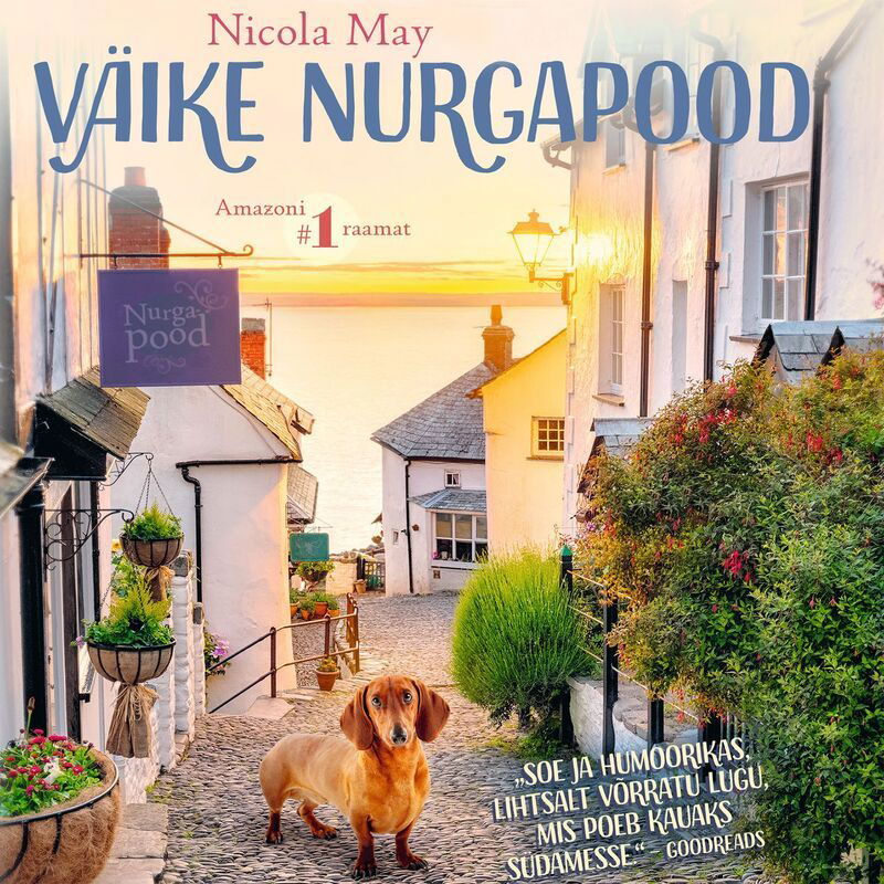 Väike nurgapood