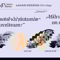 Indrek Koff: Miks lastele kirjutamine on huvitavam? Raamaturännak - Osa 5 [Podcast]